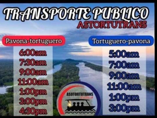 Hotel Casa Turtle Bogue Tortuguero Esterno foto